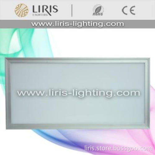 42W LED Panel Light CE RoHS approved 1200*300mm -06